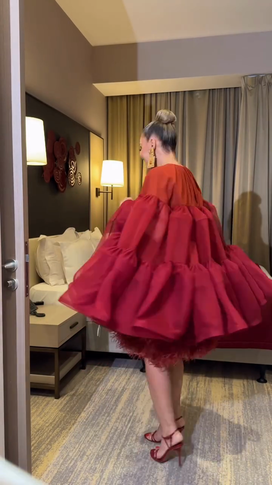 Ombre Puff Sleeve Mini Dress set