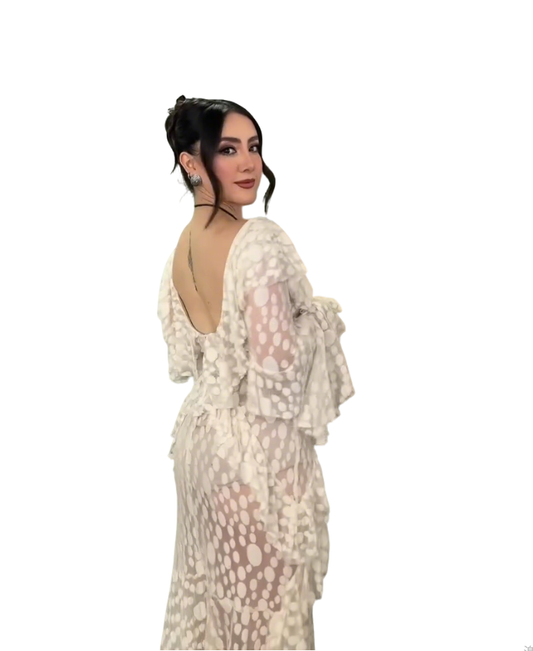 Ivory Polka Dot Sheer Ruffled Maxi Dress