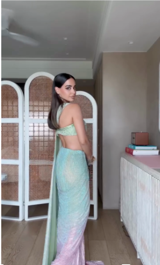 Iridescent Sequined Saree